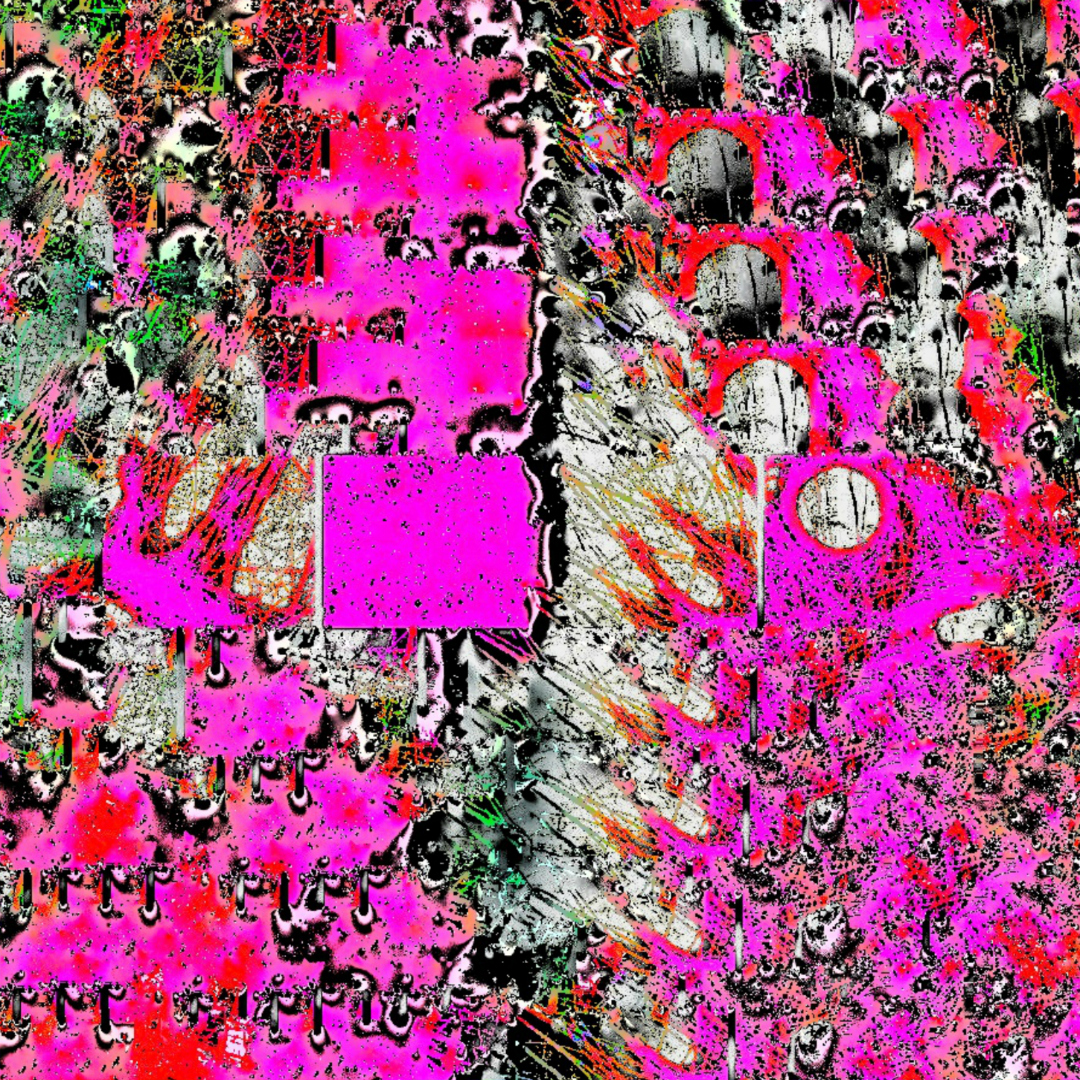 Sonic Moon – Usually I Don’t Care for Flowers