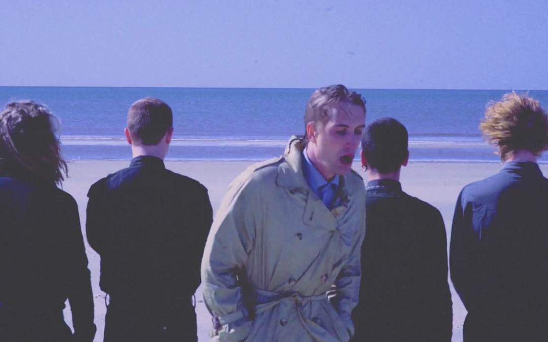 Animaux Animé: Flugt i virkelighedens ørken