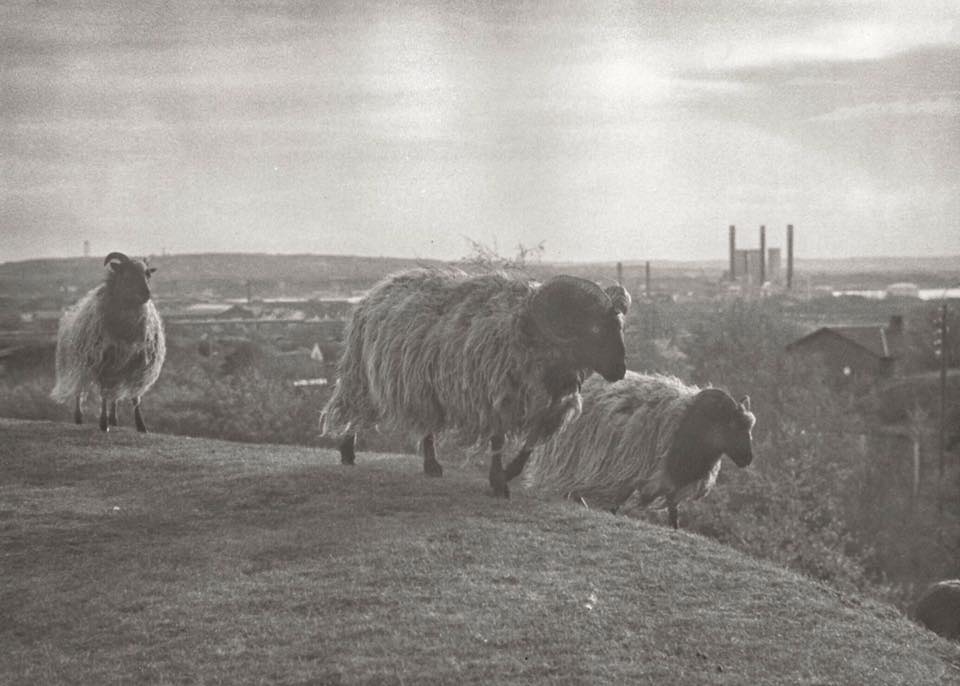 Touching Grace: Gamle rockkonger gør atter krav på tronen