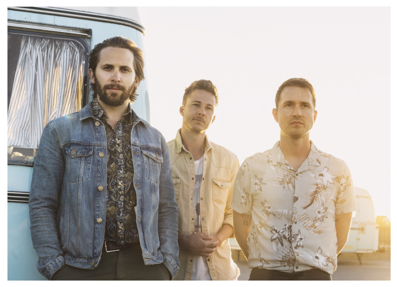 TIGER/SWAN: Kærlighed ved første blik